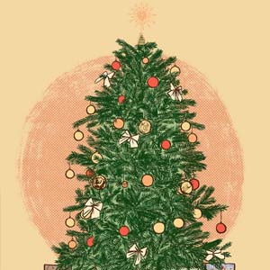 la-cote-l-ocean-et-le-vent